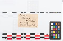 Etikett zu Perlenkette (NHMW-PRAE-026384)